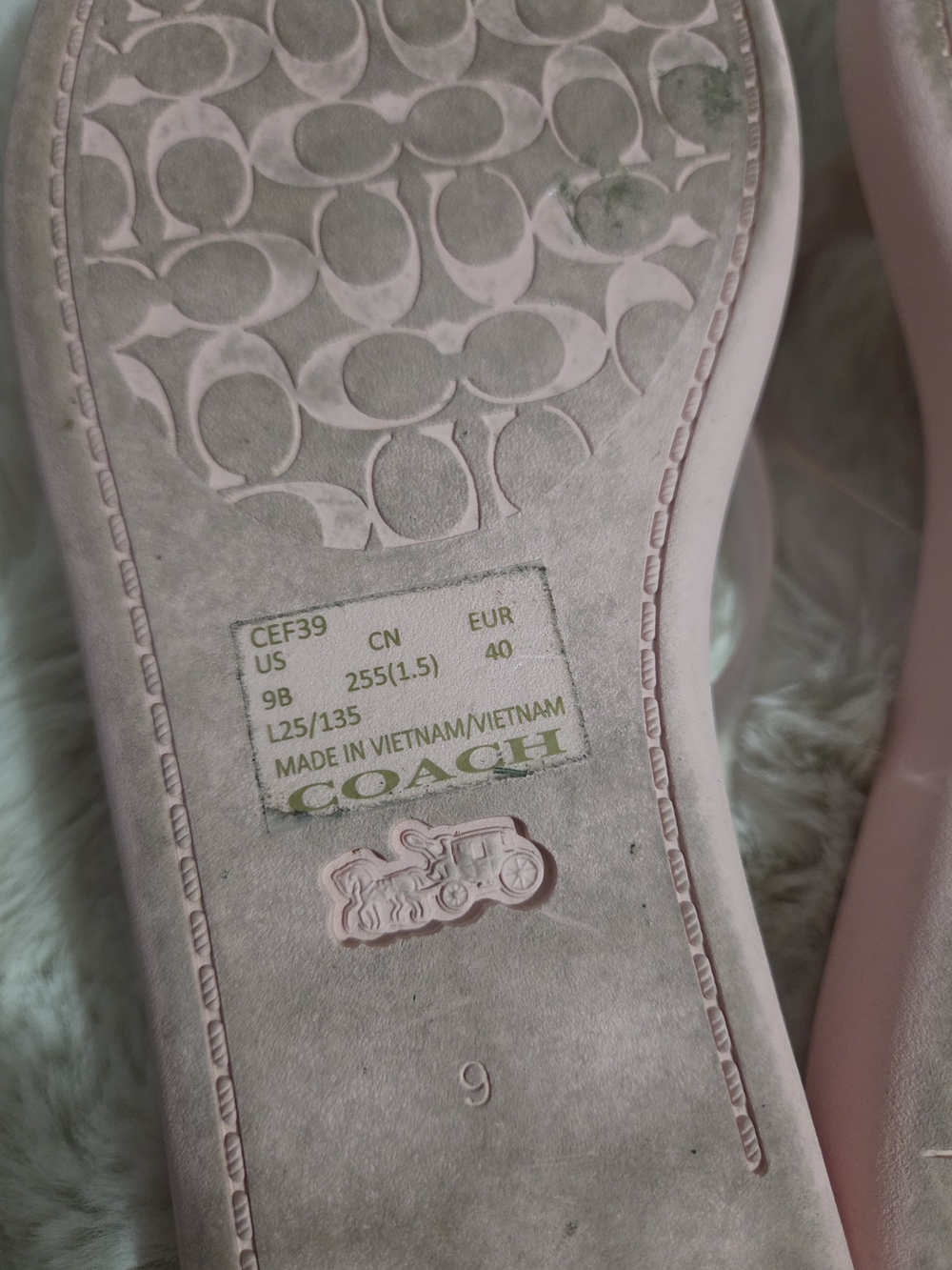Coach Pale Pink Jelly Thong Sandals - Picture 4 of 6